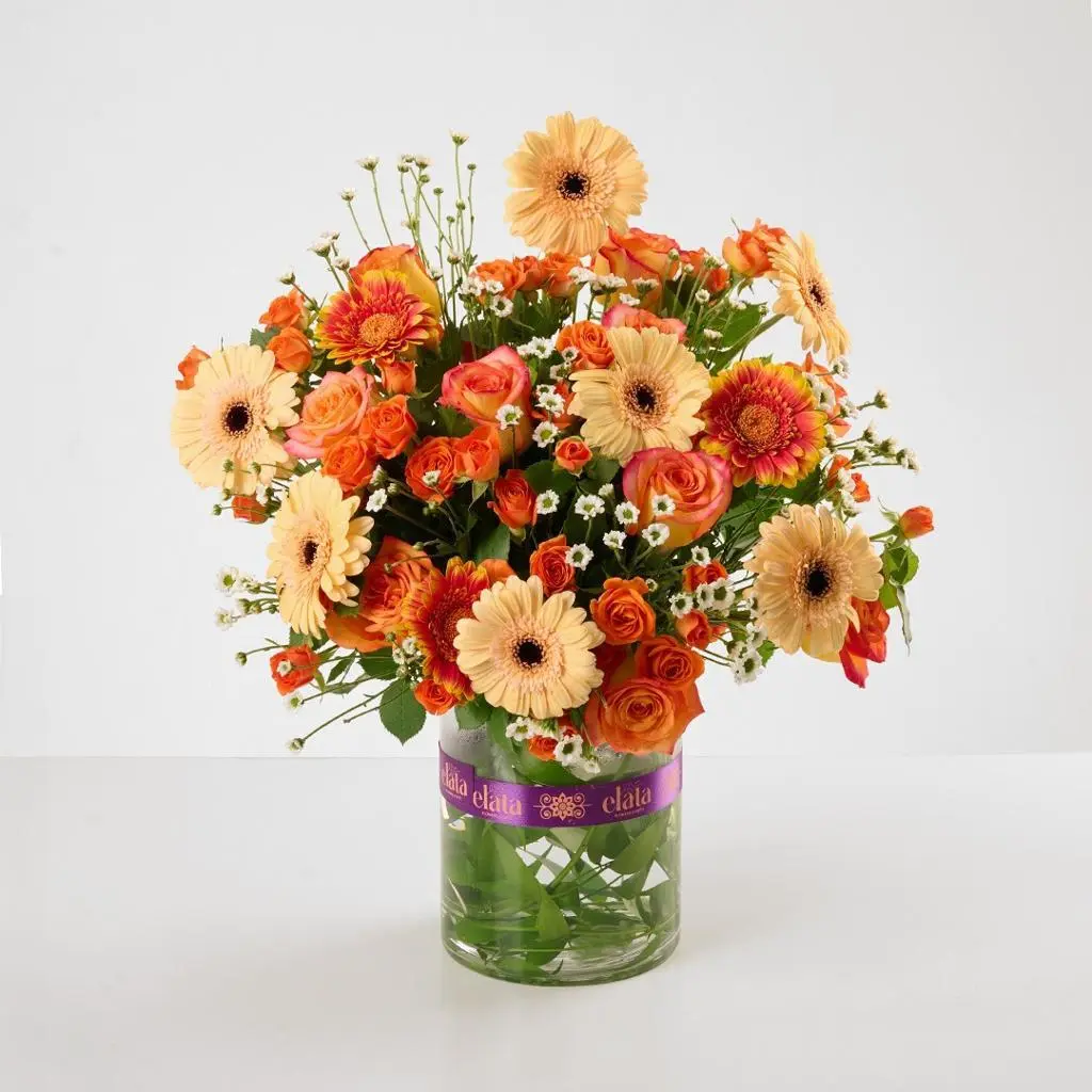 Orangina Vase
